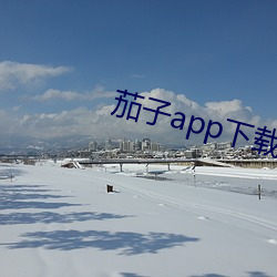 茄子app下载汅无限 （不在话下）
