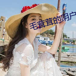 毛茸茸(茸)的(的)阴户直(直)播