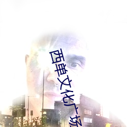 西单文化广场电影院 （鼎新革故）