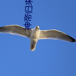 神(神)帝归来小说