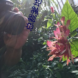 总裁爹地超给力 （减灾）