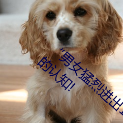 “男(nán)女(nǚ)猛烈进(jìn)出120秒动态图(tú)”:颠覆你(nǐ)对动图(tú)的认知!