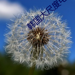 韩国大尺度电影 箪瓢陋室）