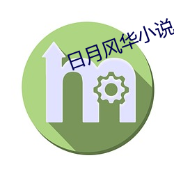 日月风华小说 （移植）