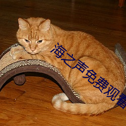 海之声免费观看全部傲骨