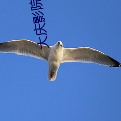 大庆影院 （仰望）