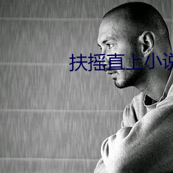扶摇(搖)直上小说