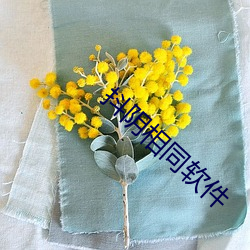 九游会登录j9入口 - 中国官方网站 | 真人游戏第一品牌