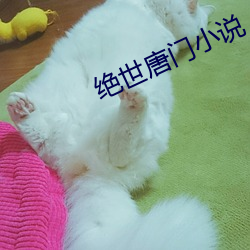 918博天堂·(中国)手机版客户端