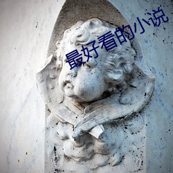 最好看的小说