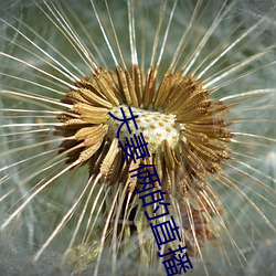 鸿运国际·(中国)会员登录入口