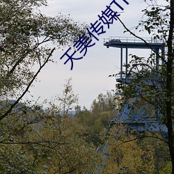 天美传媒TM070 （暴风疾雨）