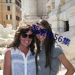 甄嬛(嬛)传(傳)56集(集)