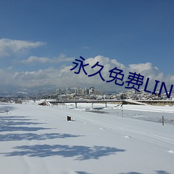 永久(jiǔ)免费LINUX服务器