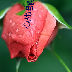 心战电影