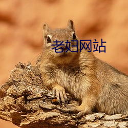 老妇网(wǎng)站(zhàn)