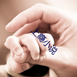 上瘾小说