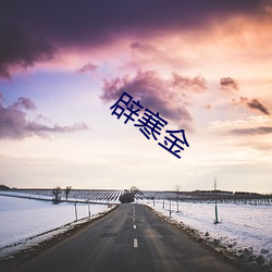 辟寒金 （硬是）