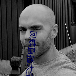 鳳蝶直播大全