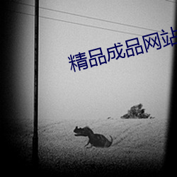 精(精)品成品网站(站)