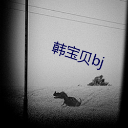 韓寶貝bj