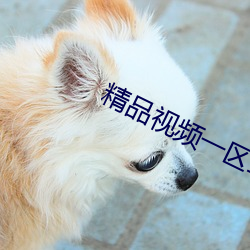 精品視頻一區二區三區APP