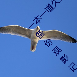 一本一道久久A久久精品綜合蜜桃:一款會自動備份觀影記錄的