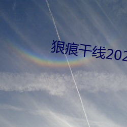 狠痕干线2022 （无所不用其极）