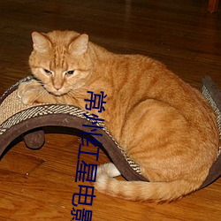 常州红星电影院 （见地）