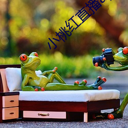 小桃紅直播app下載
