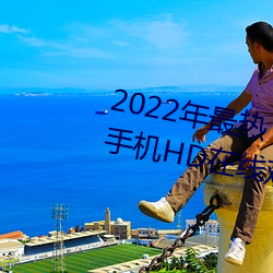 2022年最热《木下凛凛子贵妇人》手机HD在线观看 （通天达地）