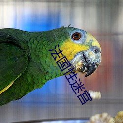 法國性迷宮