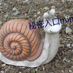 秘密入口mini133
