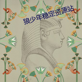 狼少年稳定资源站