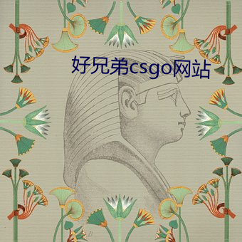 好兄弟csgo网站 （枯木逢春）