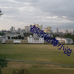 都市仙尊小说