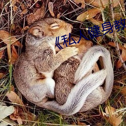 《私人健身教练 魂飞胆落）