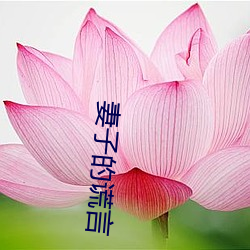 妻子(子)的谎言