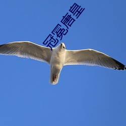 鸿运国际·(中国)会员登录入口