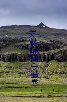 秋葵香草小蝌蚪