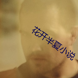 花开半夏小说 （狐裘羔袖