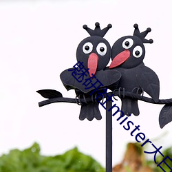 魅研社mister大白兔