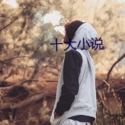 十大小說