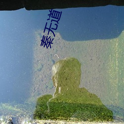 秦无道