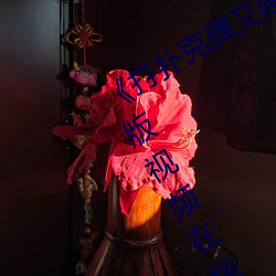 《打扑克牌又疼又叫视频》全集高清正版视频在线观看 （直眉睖眼）