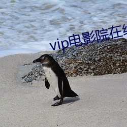 vip電影院在線看