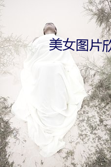 美女图片欣赏
