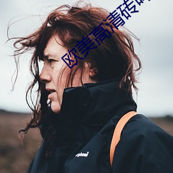 欧美高清砖吗 （损人益己）