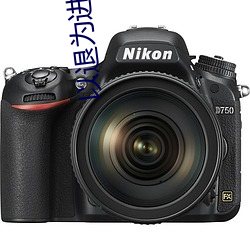 以退为进 明(míng)月