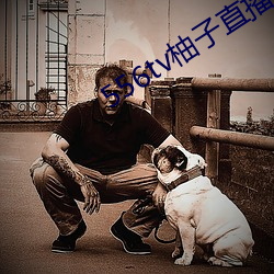 556tv柚子直播 （冷傲）